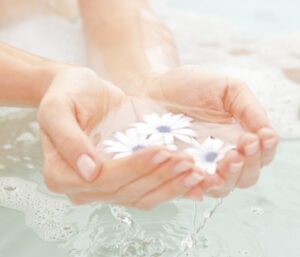 Lavandería profesional