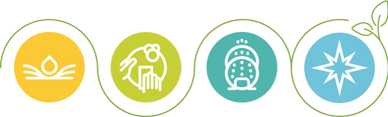 Divisiones Masschef limpieza profesional de cocinas