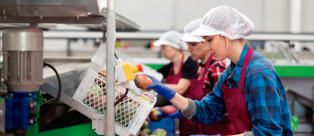 Massfood frutas y hortalizas