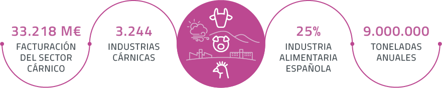 Massfood datos industria cárnica