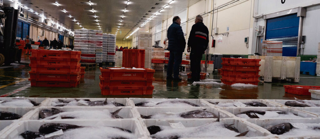 Massfood industria pesquera