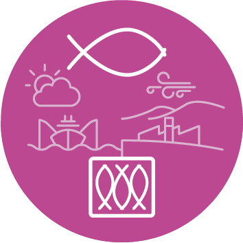 Massfood industria pesquera