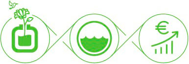 Masswash división lavandería profesional